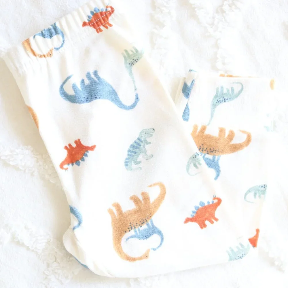 Baby Boy Dinosaur Watercolor Leggings Comfy Elastic Pull On Pants